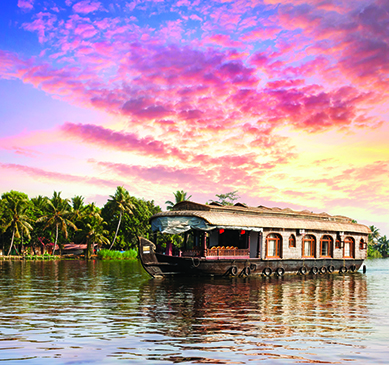 A Houseboat in Kerala with coconut trees in the background