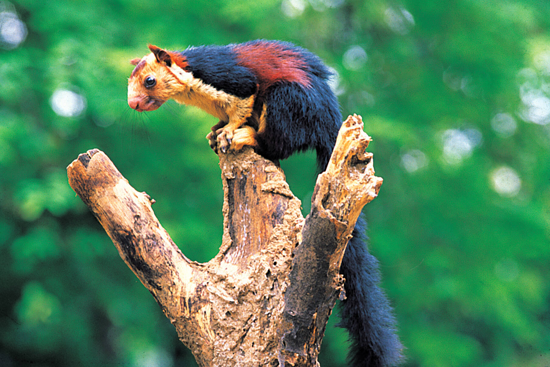 Things to do in Kerala