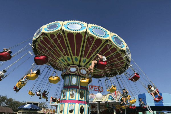 Enjoy The Thrills Of Ocean Park In Hong Kong