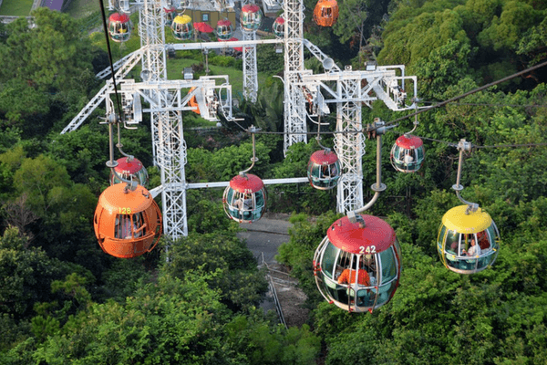Enjoy The Thrills Of Ocean Park In Hong Kong