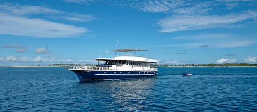 Sea Safari Maldives