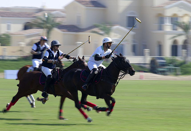 Camel Polo - Dubai
