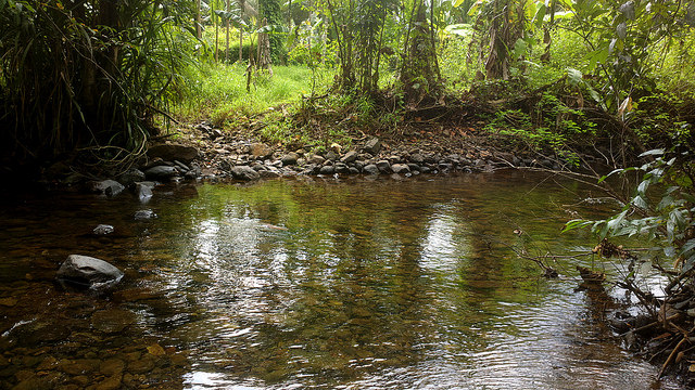 Goa – Wildlife Sanctuary