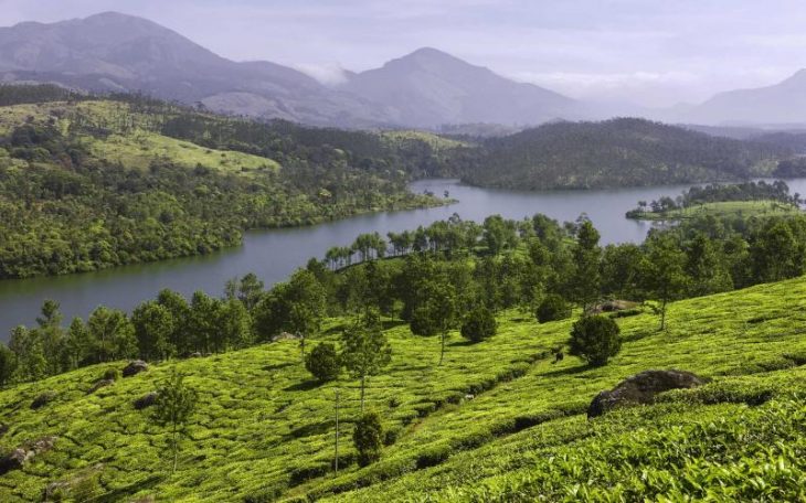 Munnar - Kerala