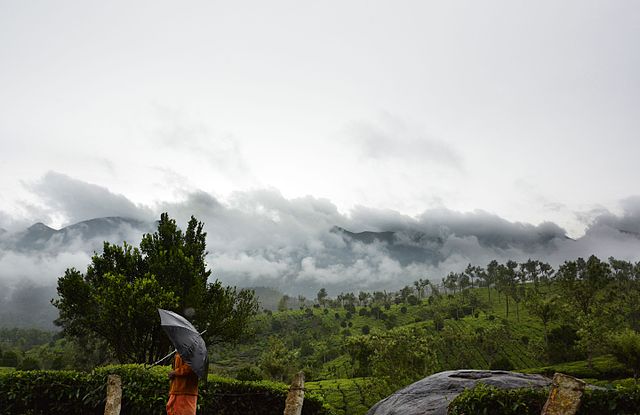 Munnar, Kerala