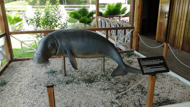 Mahatma Gandhi Marine National Park in Andaman