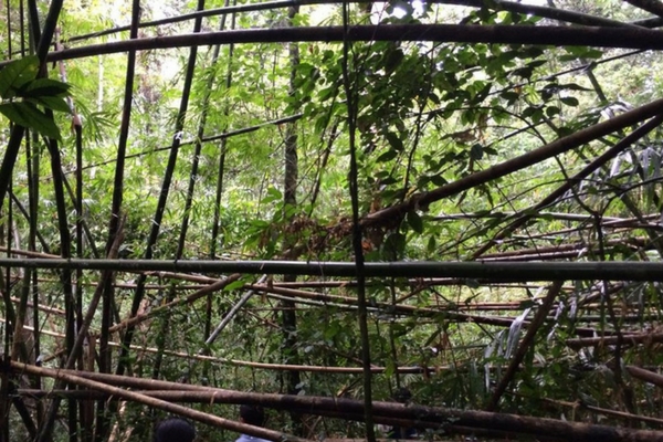 Khao Phra Thaeo National Park - things to do in phuket Khao Phra Thaeo National Park - things to do in phuket