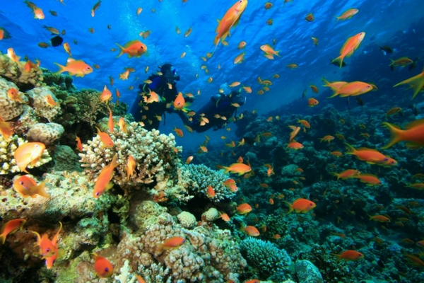 Adventure Sports in Patong - things to do in phuket Adventure Sports in Patong - things to do in phuket