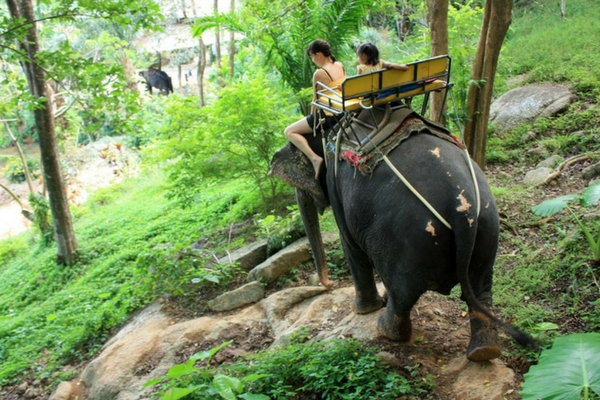 Bangla Road Nightlife - Things To Do In Phuket Kok Chang Safari - Things To Do In Phuket