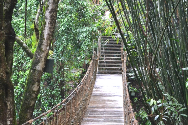 Top 10 Hill Stations In Kerala Vythiri, Kerala - Hill stations in south india