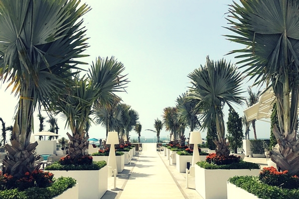 20 Free Things To Do In Dubai Jumeirah Beach Corniche