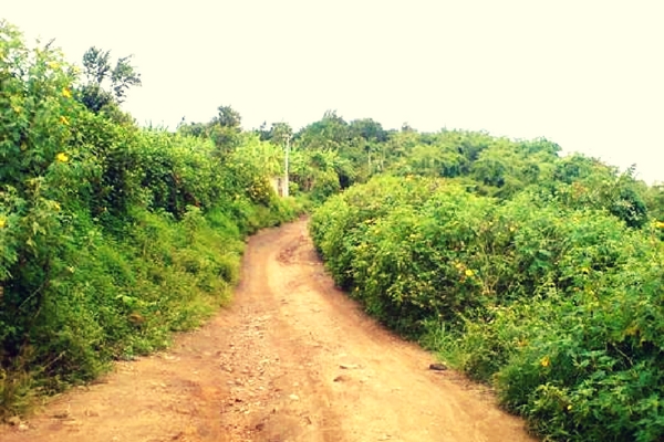 Chellarkovil, Thekkady