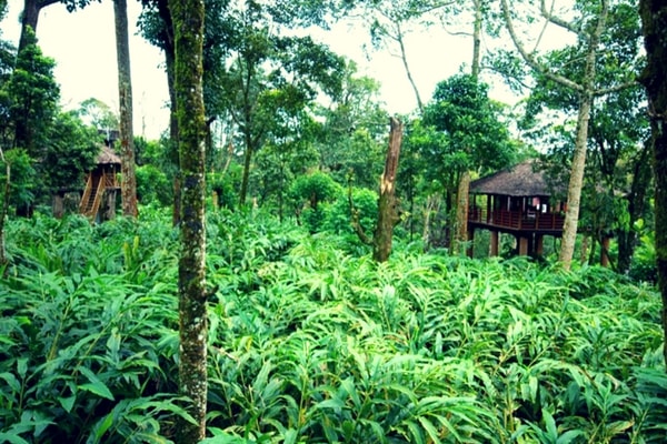 Vandanmedu, Thekkady
