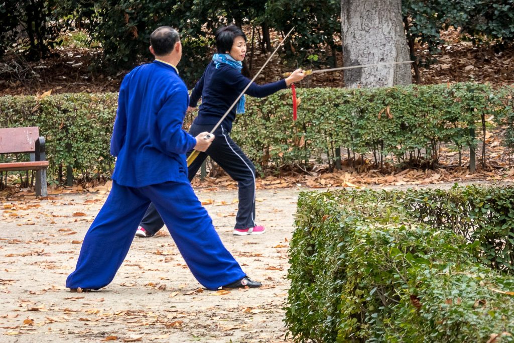 Practice Tai Chi, Goa