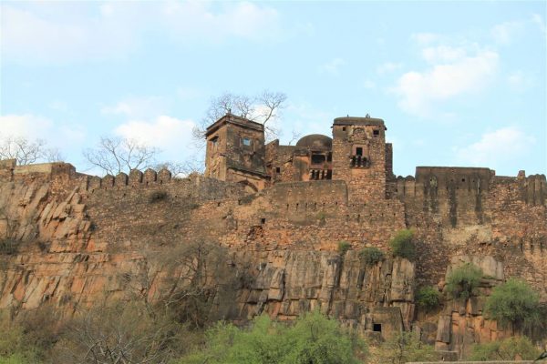 Ranthambore
