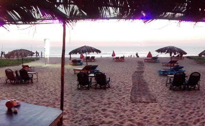 Pine Shack, Goa