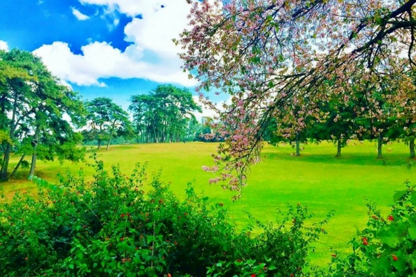 Shillong, North East India Shillong, North East India