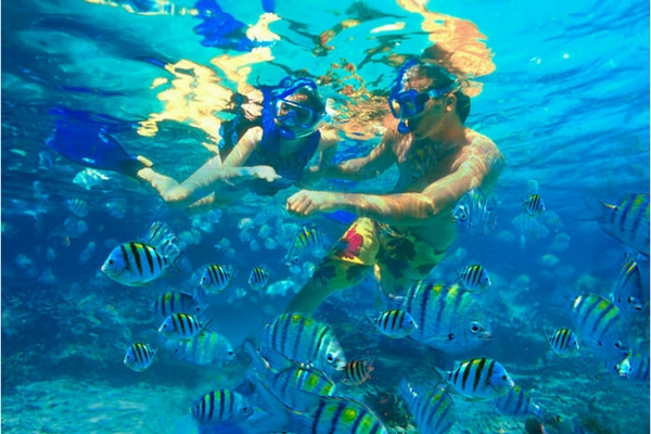 North Bay Island, Port Blair, Andaman