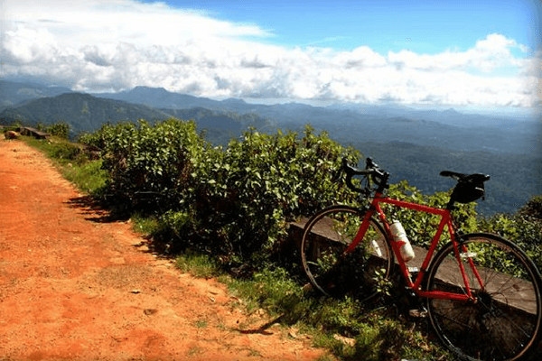 Cycling at Blossom Park