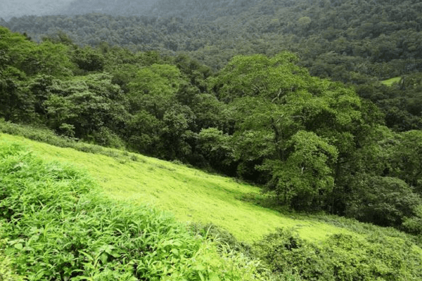 Kopatty Hills, Coorg