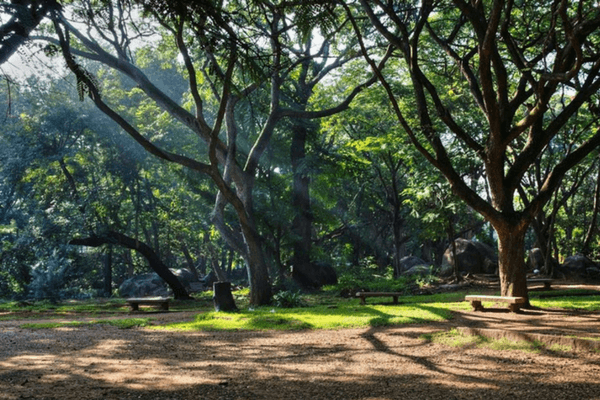 Cubbon Park, Bangalore