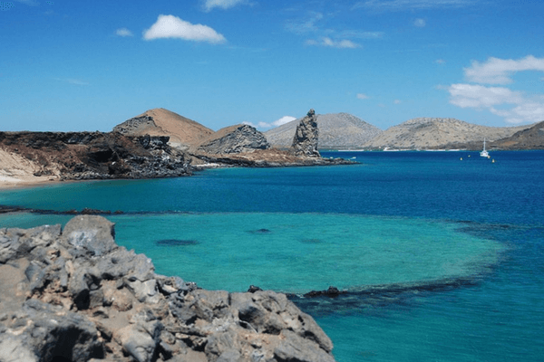 Galapagos Island, Honeymoon Destination