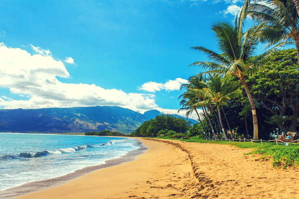 Maui Beach