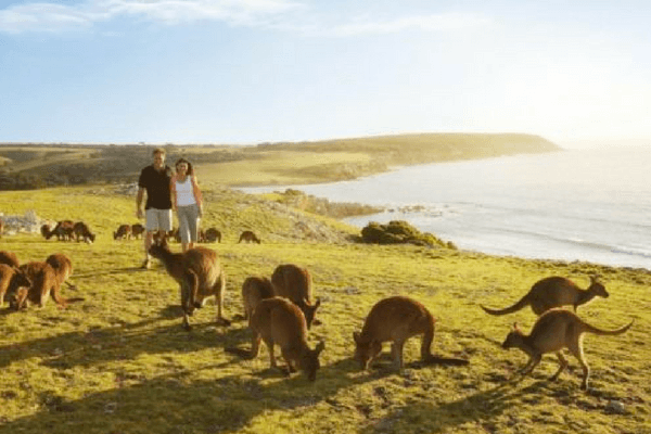Kangaroo Island, Australia