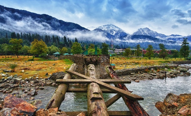 The Club House Festivity