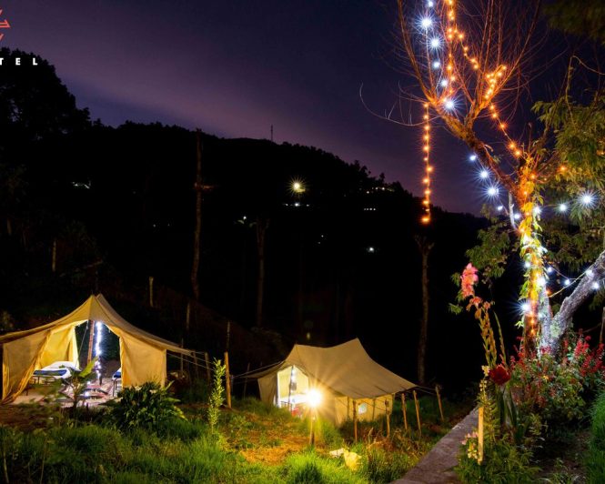 Zostel Ooty - Nilgiris Hotels 