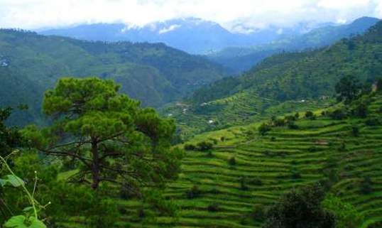 Ranikhet - Hill Stations Near Delhi 