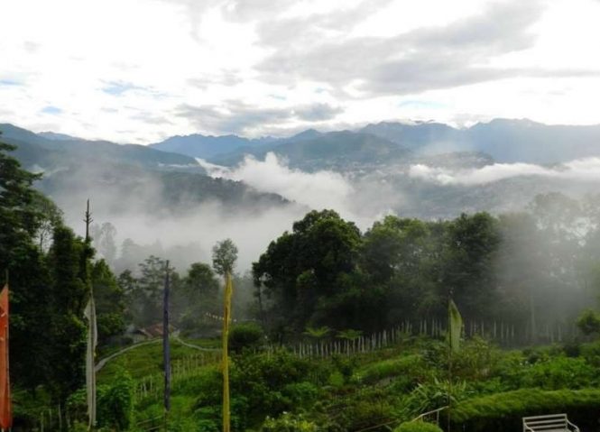 Workshop-Bamboo Retreat