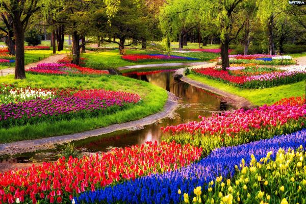 Keukenhof Park, The Netherlands