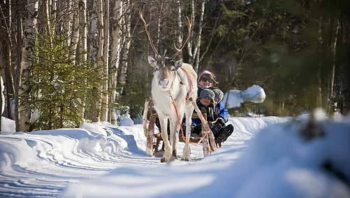 Rovaniemi - Scandinavian tours
