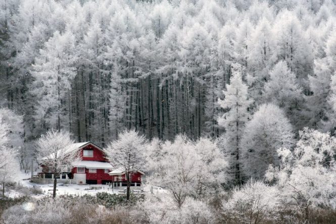 Winter in Japan- Best Time To Visit Japan