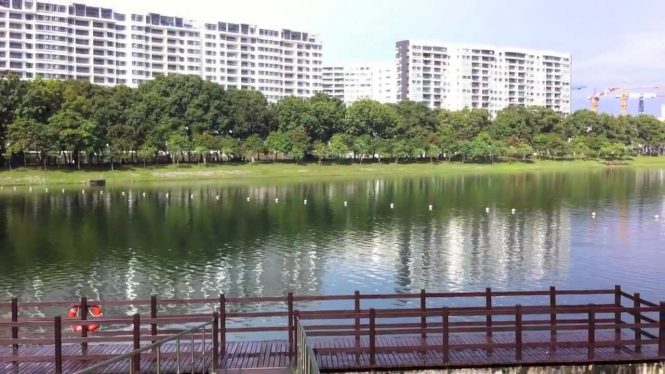 Forest obstacles - Singapore Adventure