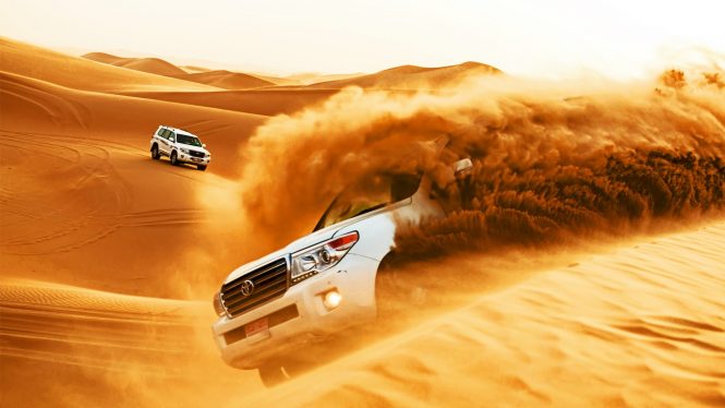 Liwa Oasis - Places to see in Abu Dhabi