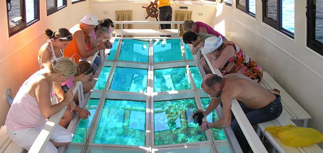 Glass boat ride - things to do in Andaman Glass boat ride - things to do in Andaman