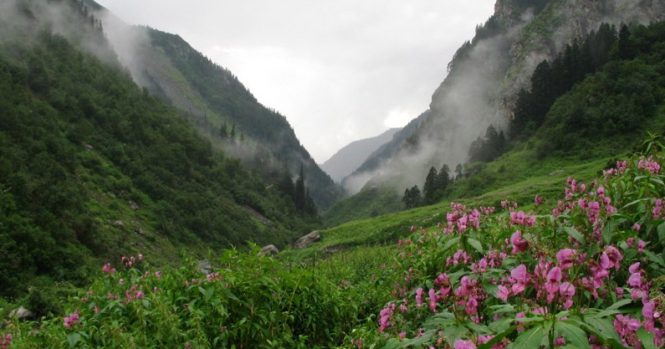 The Great Himalayan National Park