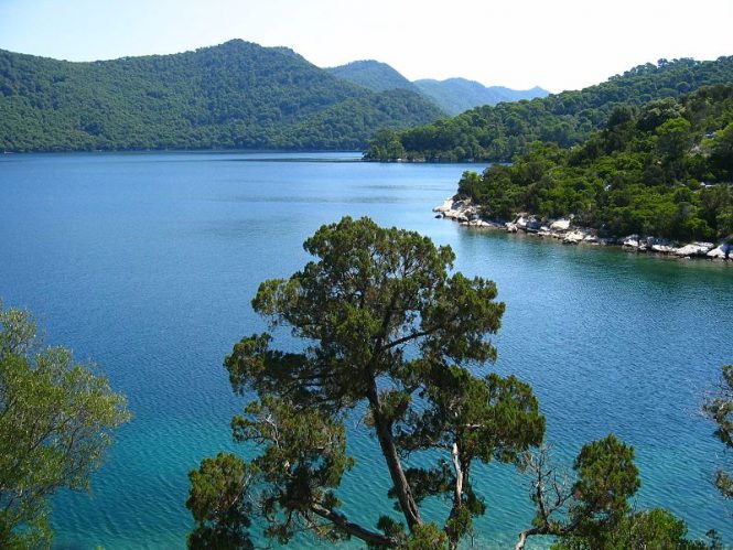 Mljet National Park- places to visit in Croatia