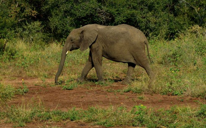 Rajaji National Park