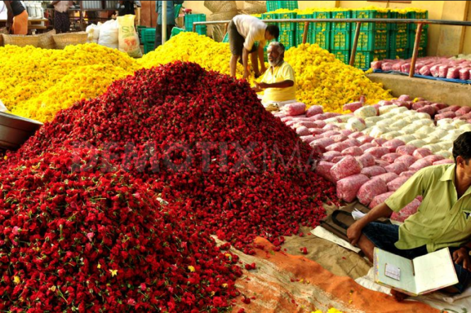 Trivandrum- Kerala shopping