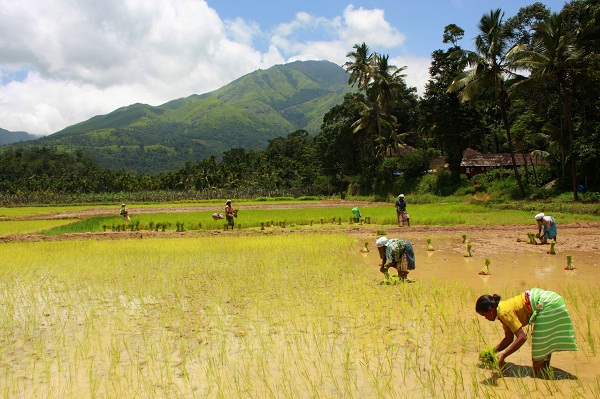 Wayanad - Tourist places in Kerala