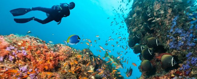 Scuba diving - things to do in Andaman Scuba diving - things to do in Andaman