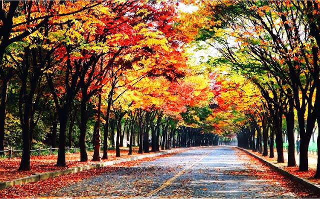 Incheon Grand Park- places to visit in Korea