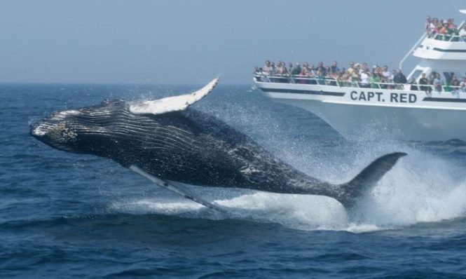 San Diego- places to visit in West Coast USA
