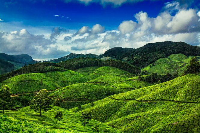 Munnar- Best Budget Destinations in India for Honeymoon