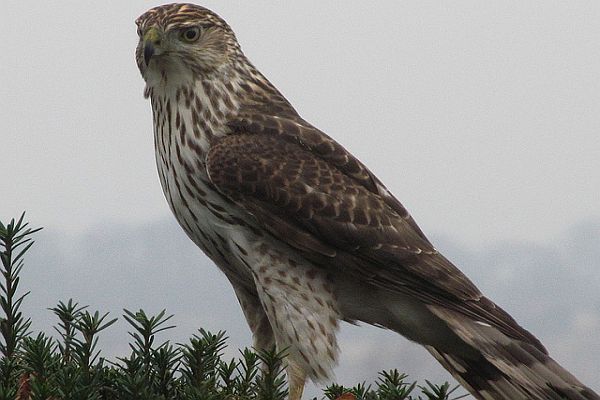 Ways to Protect Your Valuables Ways to Protect Your Valuables