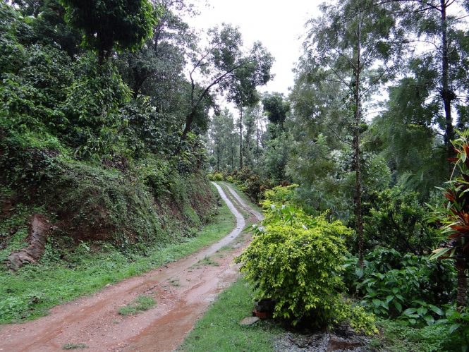 Coorg- Places to visit in India during Monsoon