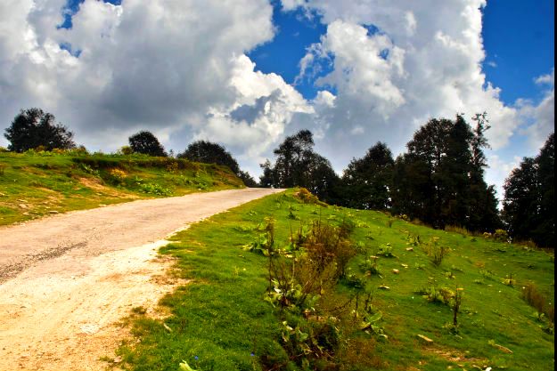 Nature Walk-Places to visit in chail